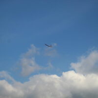 IMG_2878